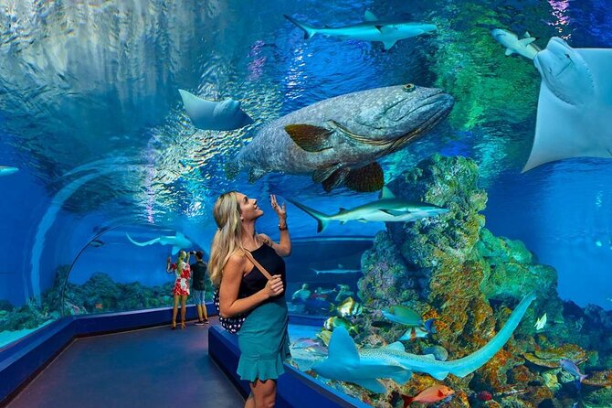 Aquarium Hurghada
